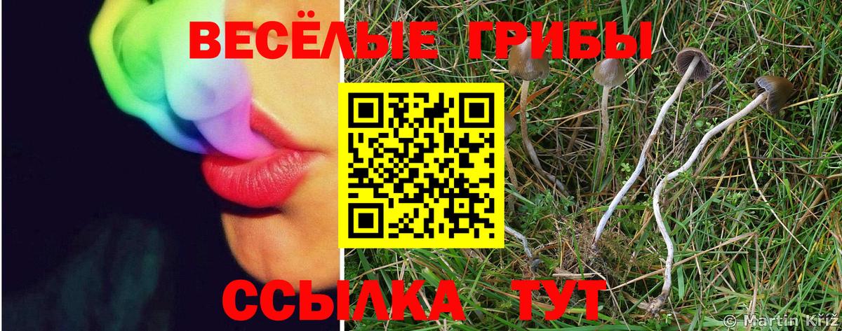 Галлюциногенные грибы GOLDEN TEACHER Прокопьевск