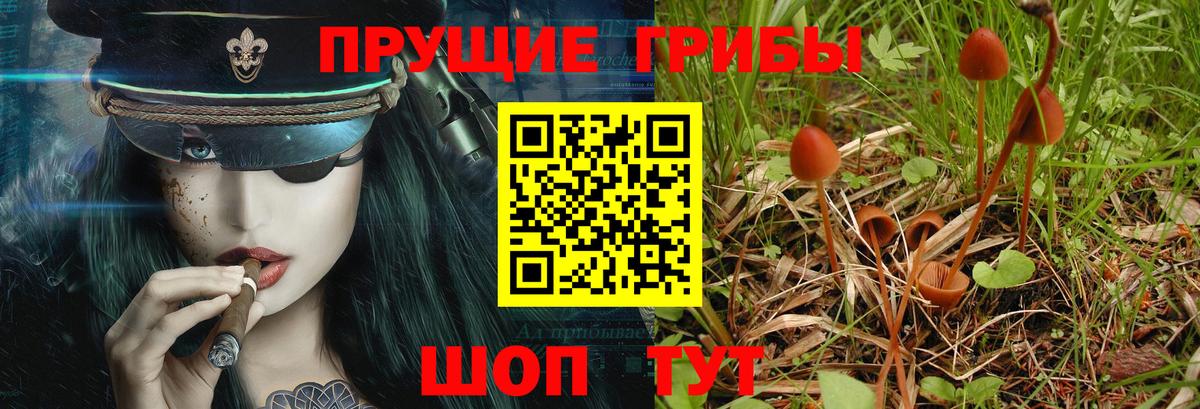 Псилоцибиновые грибы Magic Shrooms  Галлюциногенные грибы мицелий  Прокопьевск  Вход с VPN 
